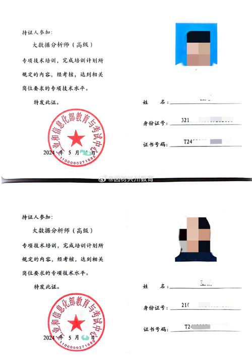 工信部教育与考试中心认证体系 数据分析、大数据分析师、信息系统集成项目经理与教育软件开发的协同发展